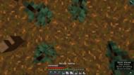 The player places saplings and bone meals them right before teleporting (Image via u/bl00py Reddit)